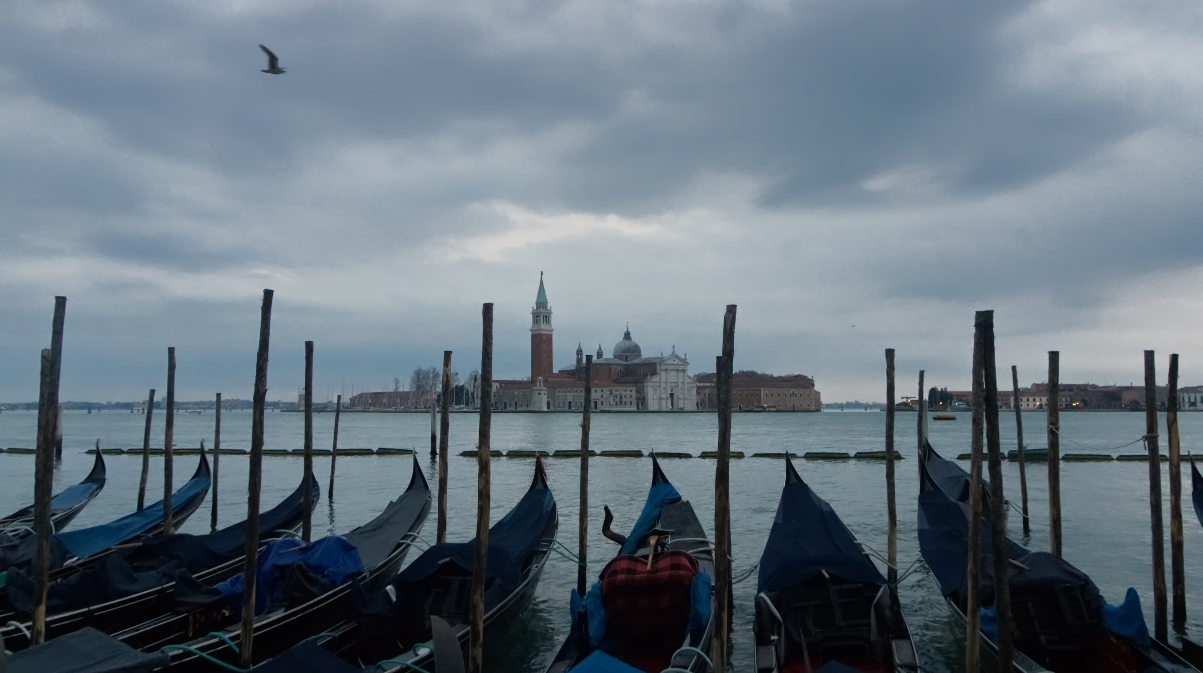 Voting in Venezia