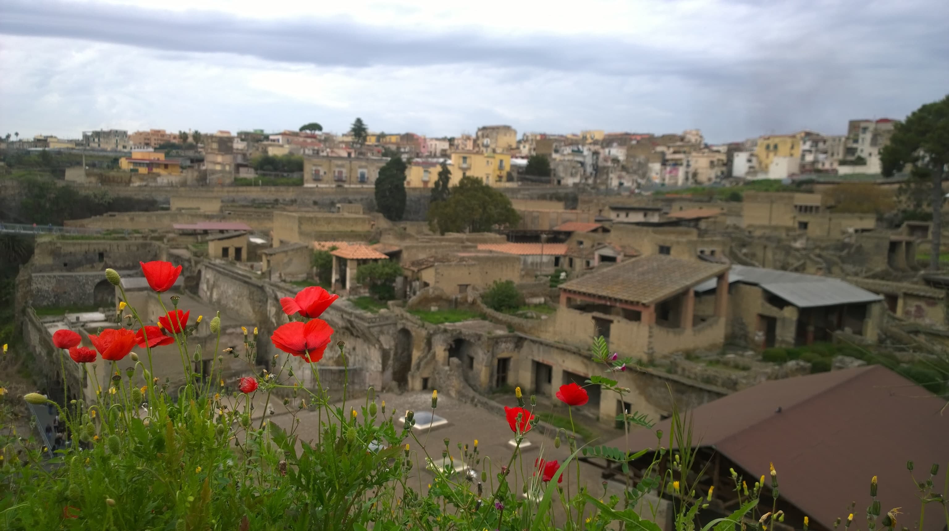 Voting in Ercolano